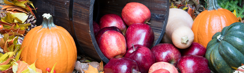 Franklin Applefest