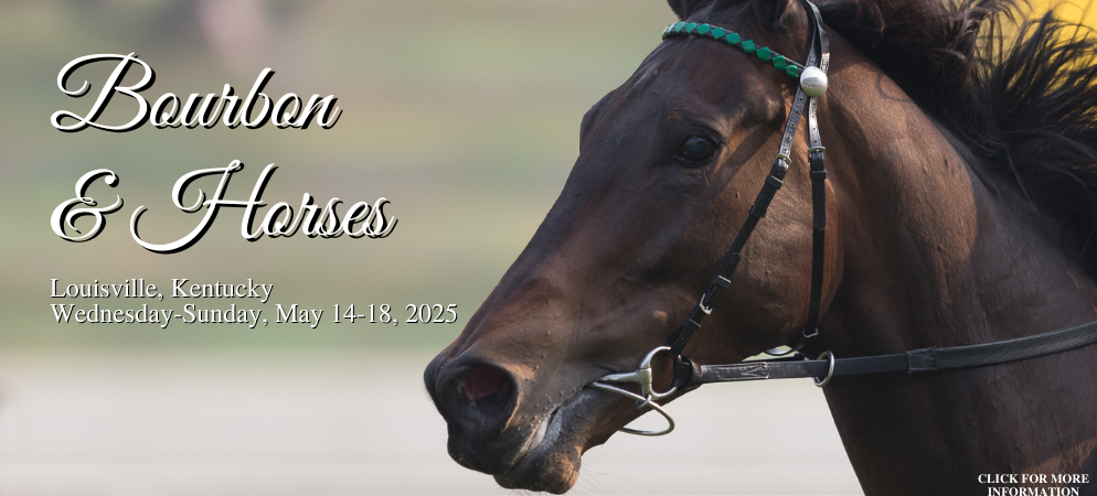 Bourbon & Horses