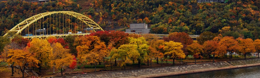 Fall Foliage in Pittsburgh