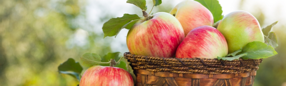 Applefest